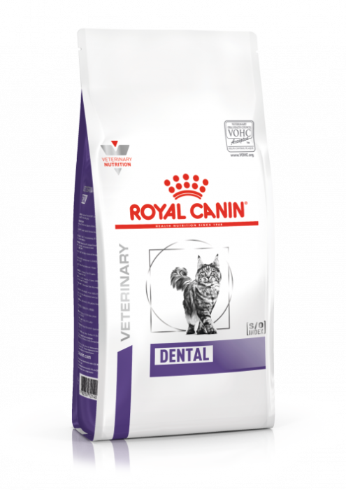 Dieta Royal Canin Dental S/O Cat Dry 1.5kg ROYAL CANIN